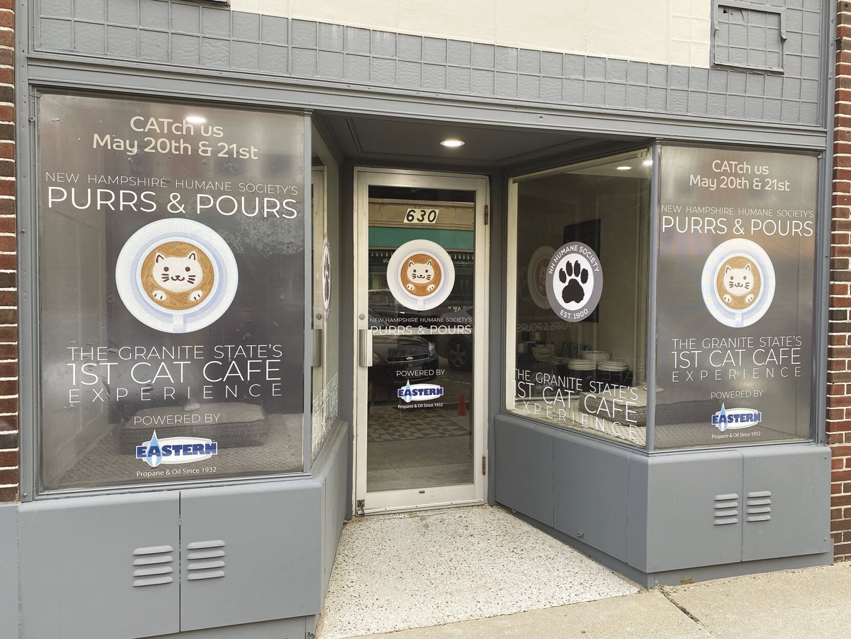 Purrs and Pours cat cafe makes a splash at the coffee festival